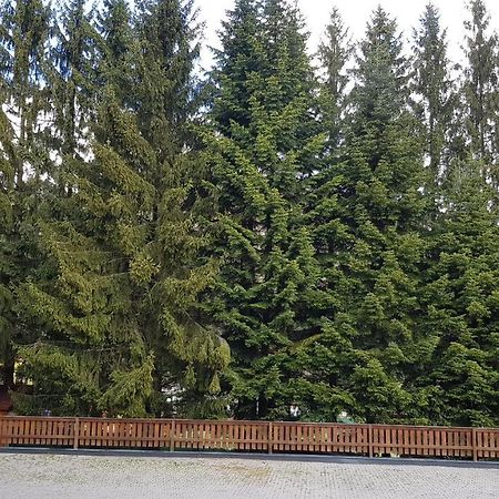 Apartmany 33 A 8 Ad Kamzik Donovaly Exteriör bild